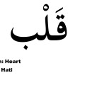 High Frequency Word of The Quran #63: قَلْب