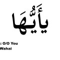 High Frequency Word of The Quran #53: يآ أَيُّهَا